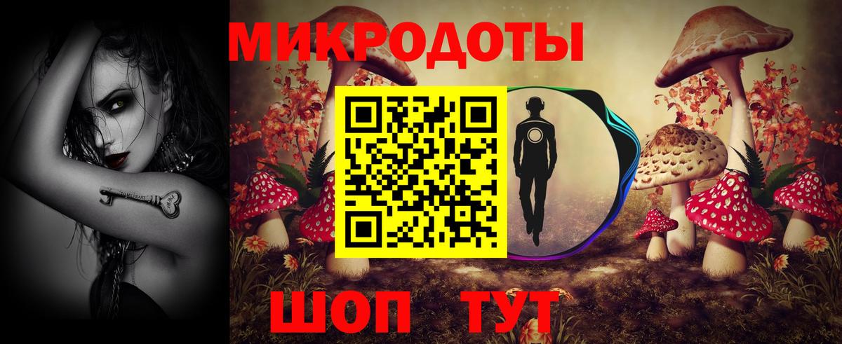 Калуга  Псилоцибиновые грибы прущие грибы  Вход с VPN 